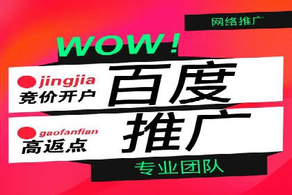 专业网站SEM托管服务案例展示